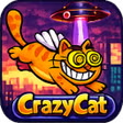 CrazyCat
